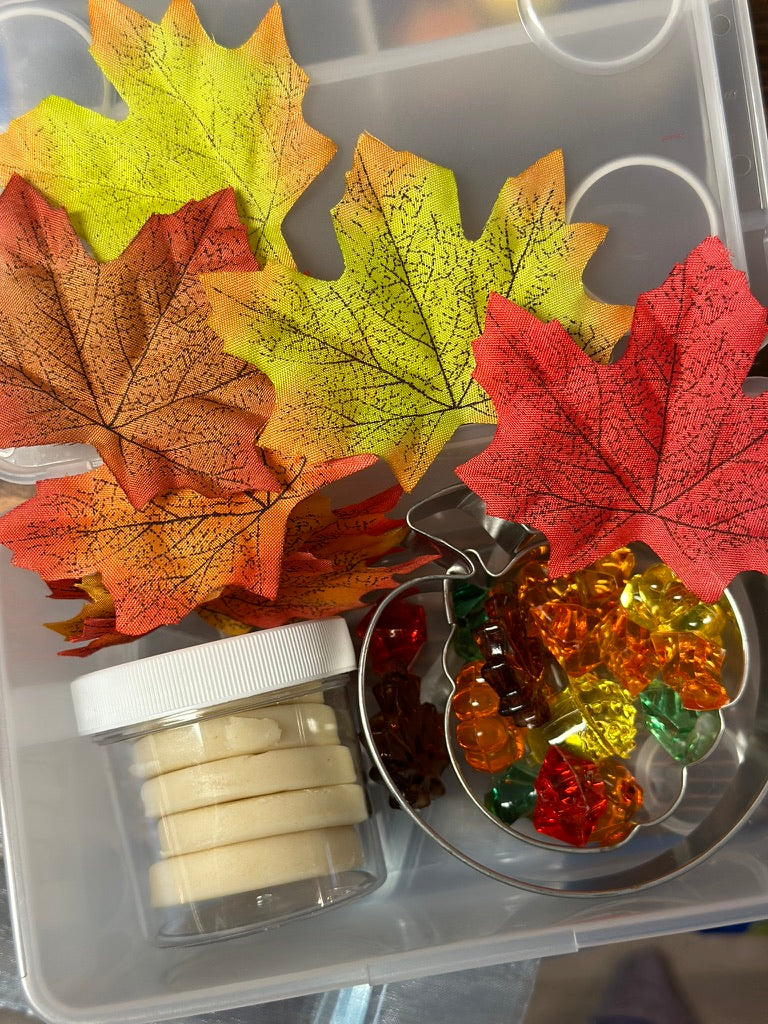 Mini Fall Playdough Kit